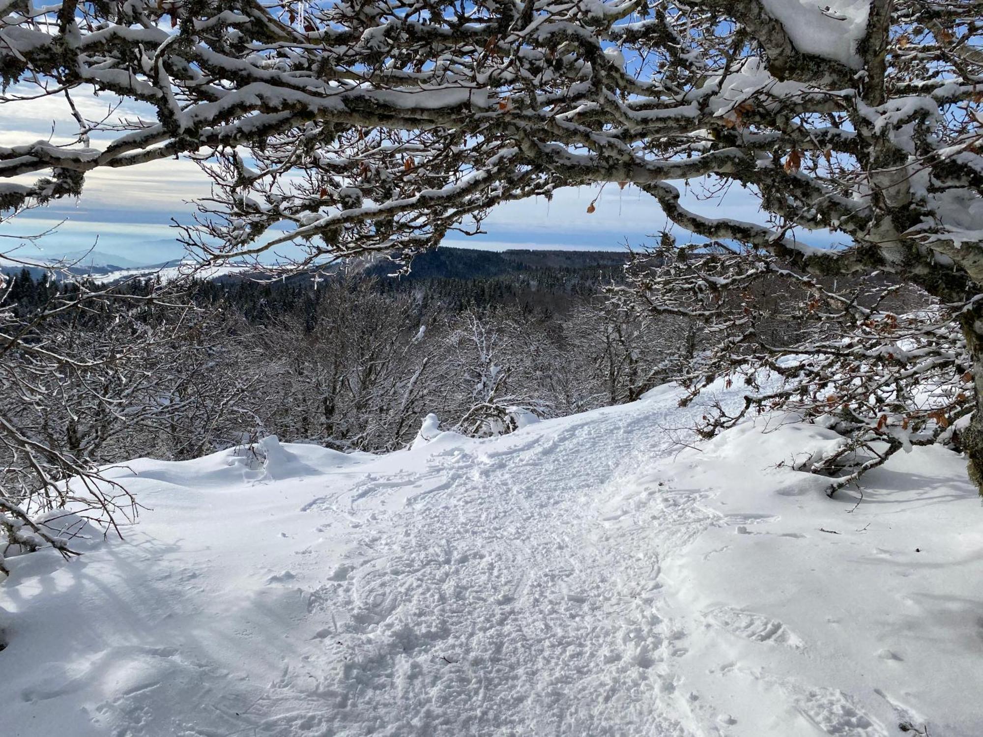 L'Echappee Belle, Vue Panoramique Sur La Campagne Villa Saint-Saturnin-de-Lenne Bagian luar foto